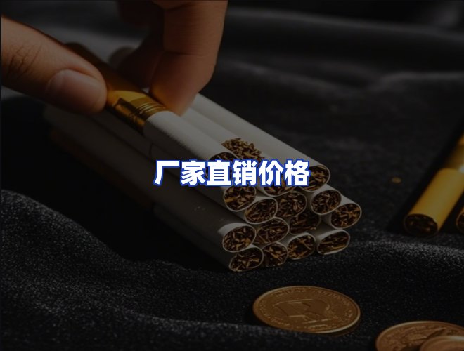 专业团队